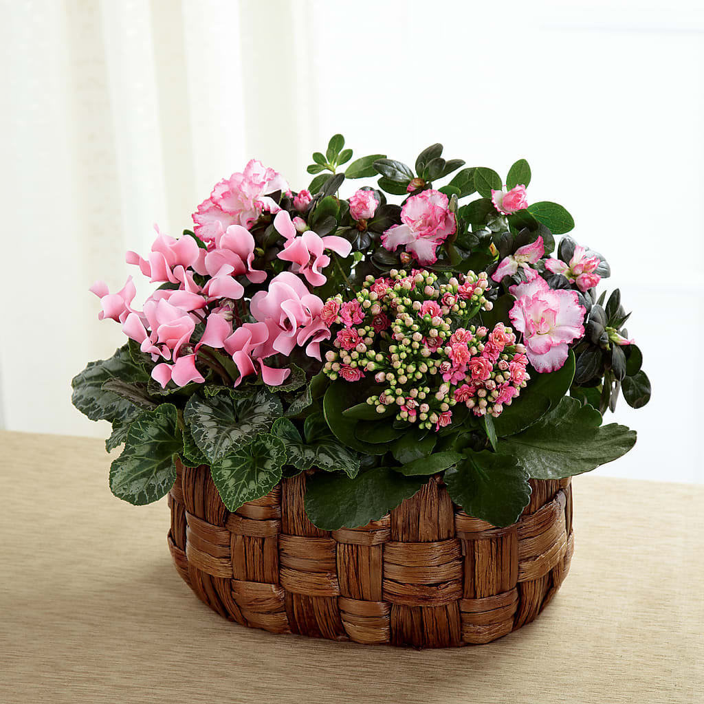 Pink Assortment – MILAM FLORAL & GREENHOUSE, Havre MT