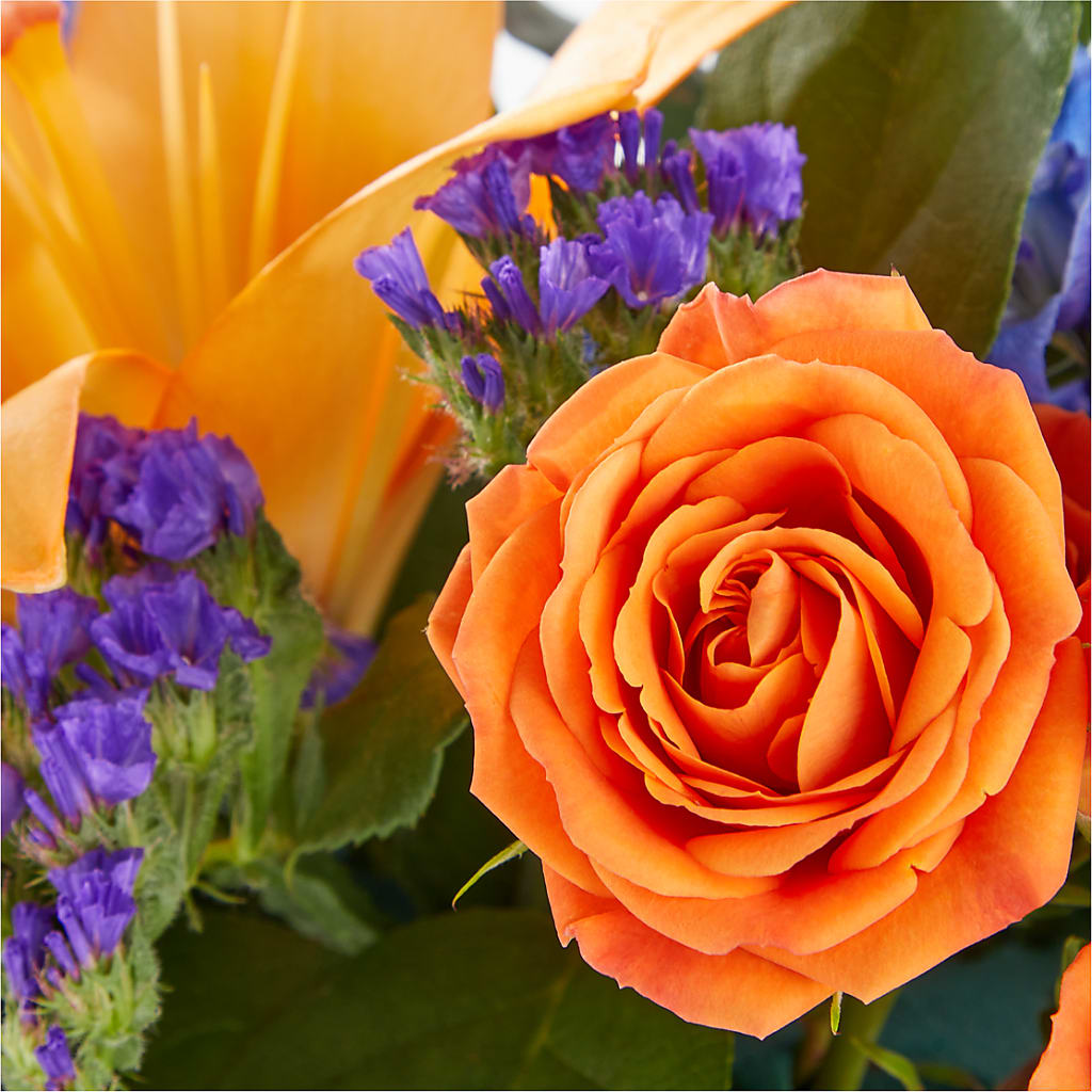 Radiant Citrus Box Bouquet – MILAM FLORAL & GREENHOUSE, Havre MT
