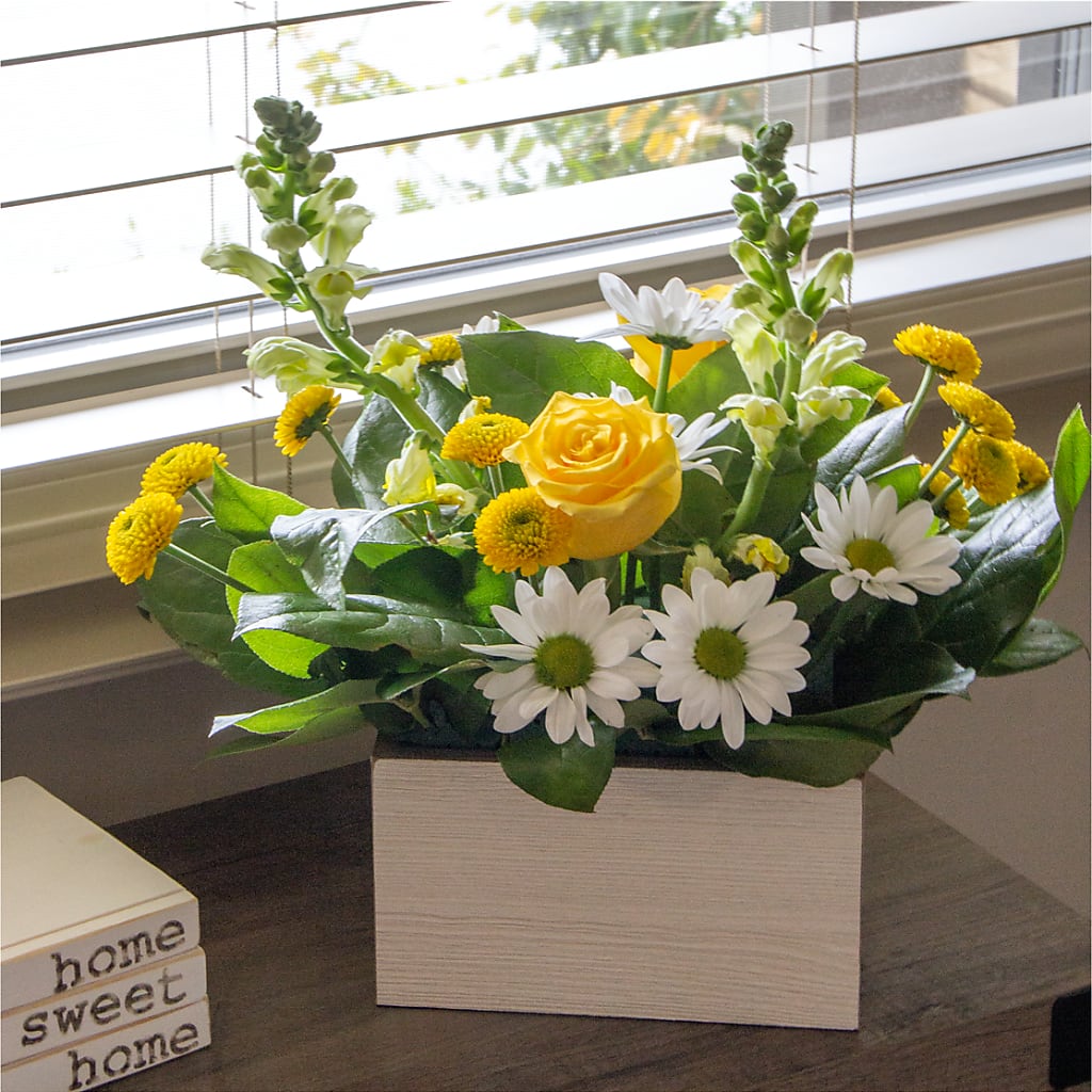 Sun Salutation Box Bouquet – MILAM FLORAL & GREENHOUSE, Havre MT