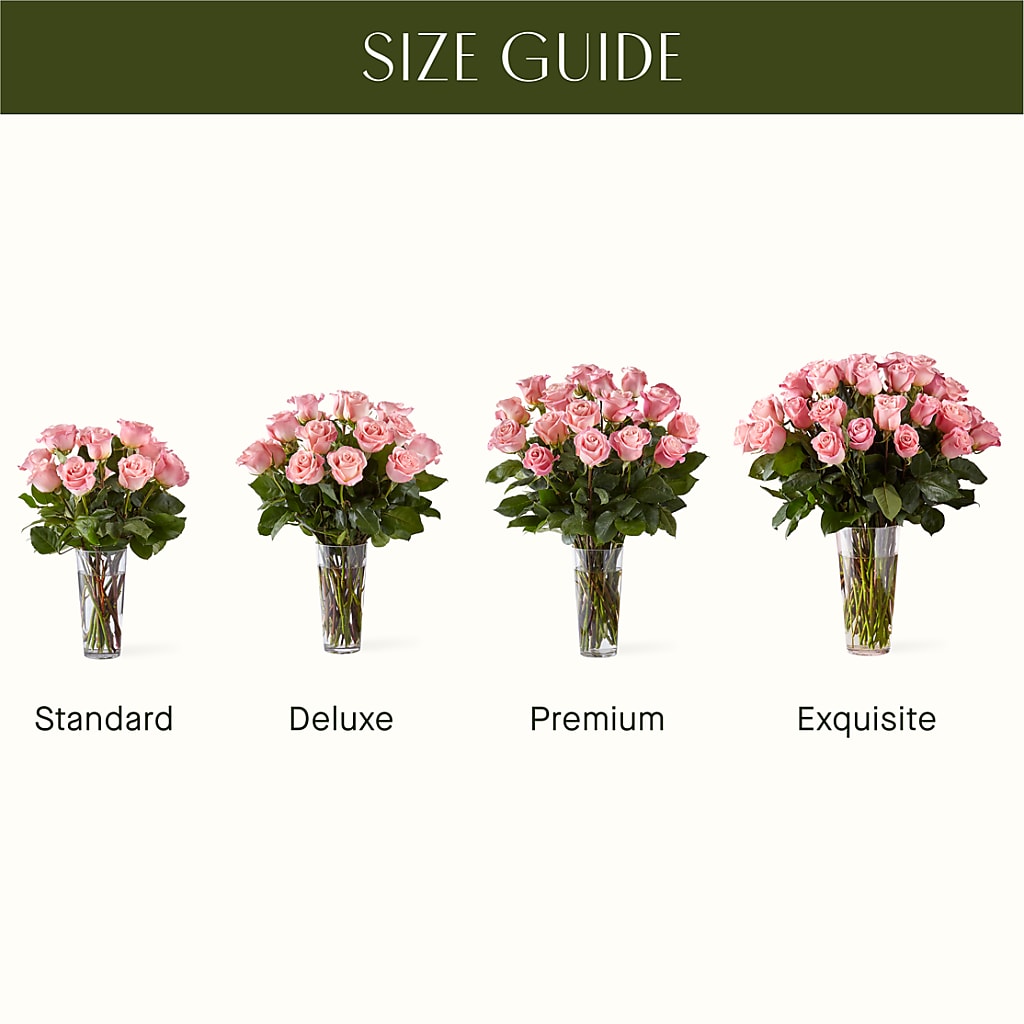 Long Stem Pink Rose Bouquet – MILAM FLORAL & GREENHOUSE, Havre MT