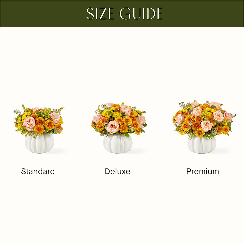 Peachy Pumpkin – MILAM FLORAL & GREENHOUSE, Havre MT