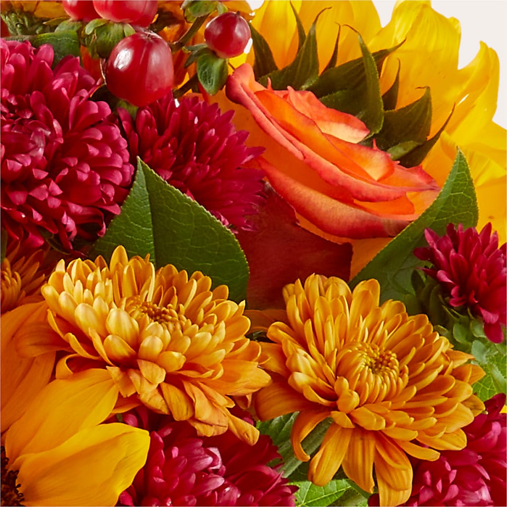Sweater Season - A Florist Original – MILAM FLORAL & GREENHOUSE, Havre MT