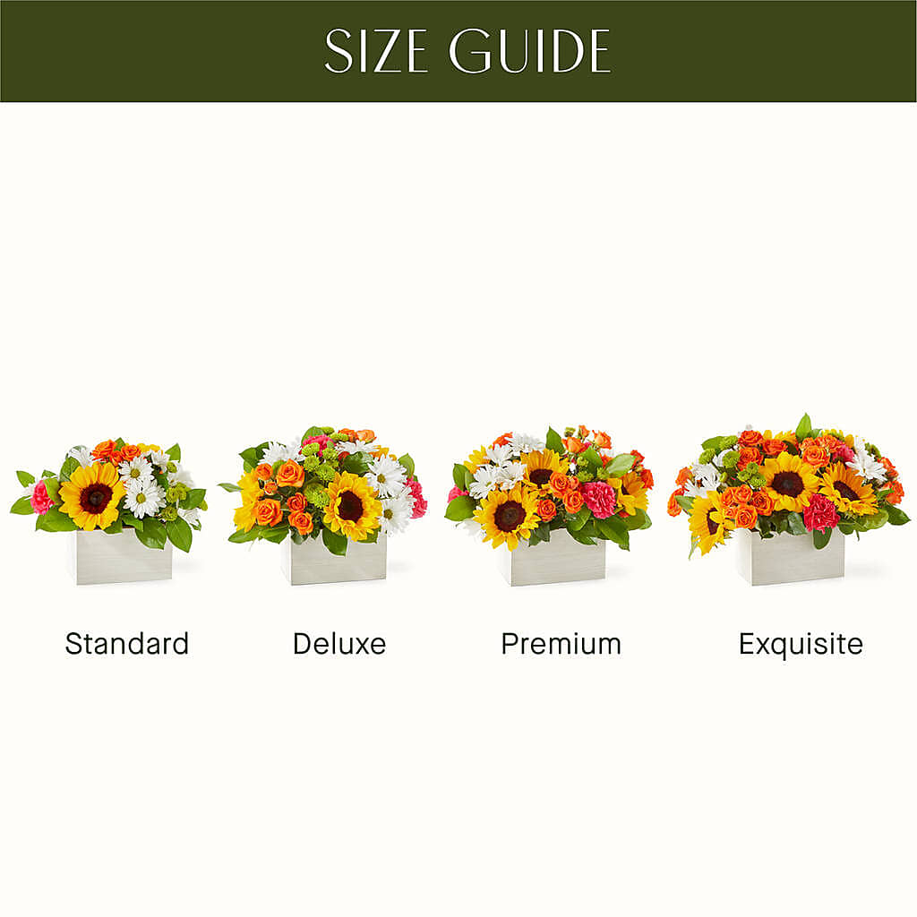Sun-drenched Blooms Box Bouquet – MILAM FLORAL & GREENHOUSE, Havre MT