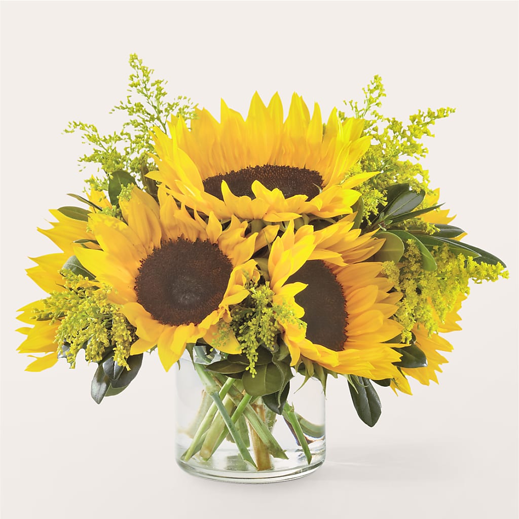 Beaming Sunflower Bouquet – MILAM FLORAL & GREENHOUSE, Havre MT