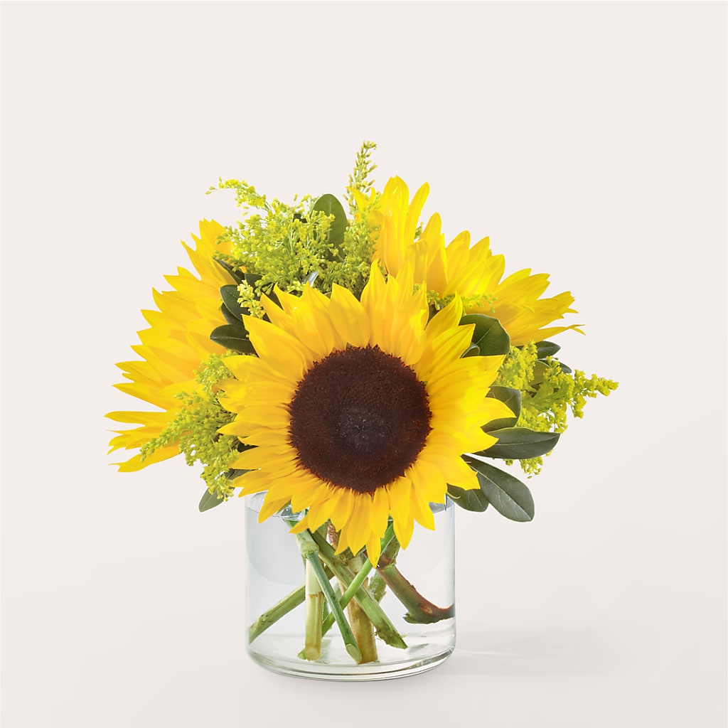 Beaming Sunflower Bouquet – MILAM FLORAL & GREENHOUSE, Havre MT
