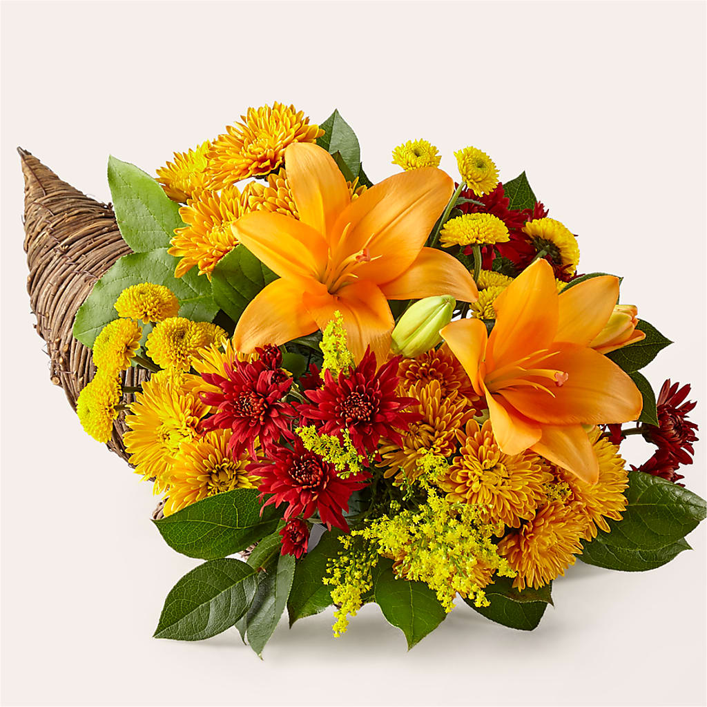 Feast of Color Cornucopia – MILAM FLORAL & GREENHOUSE, Havre MT
