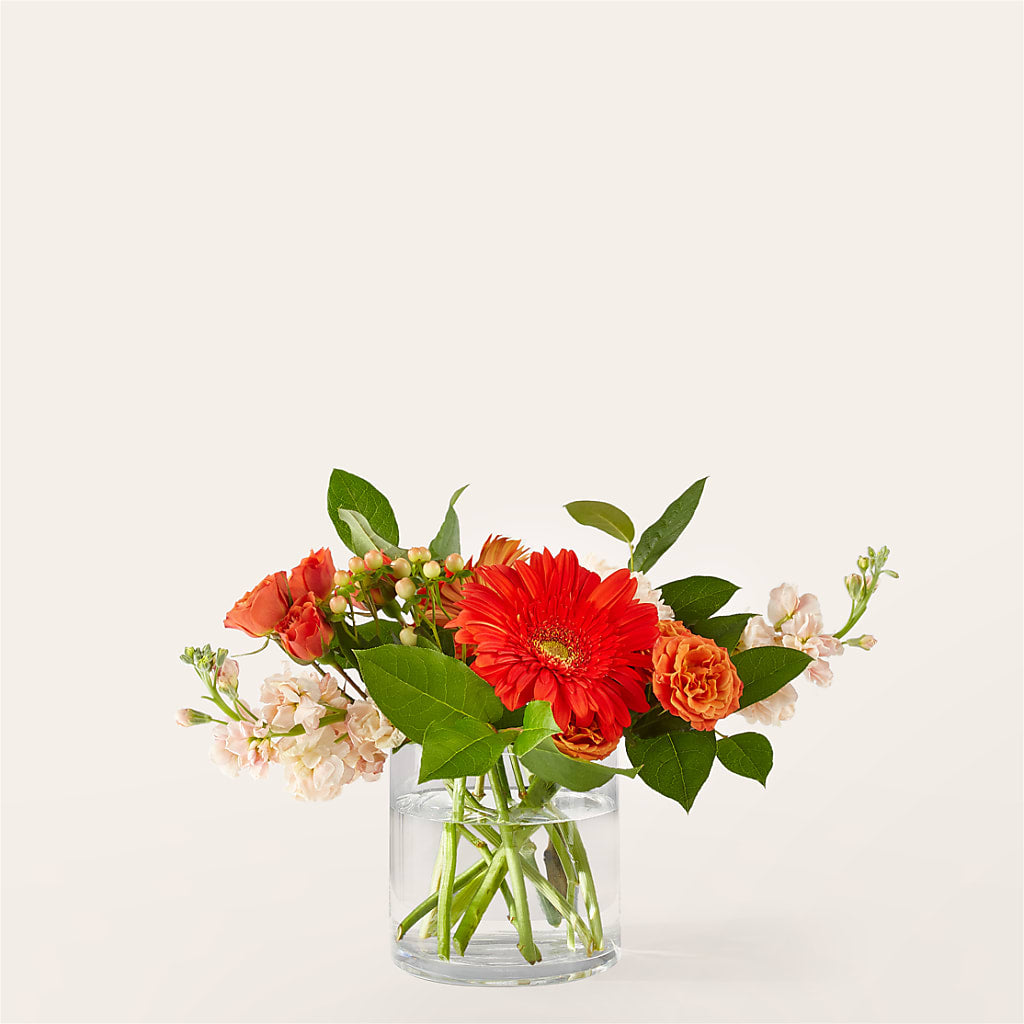 Paloma Please Bouquet – MILAM FLORAL & GREENHOUSE, Havre MT