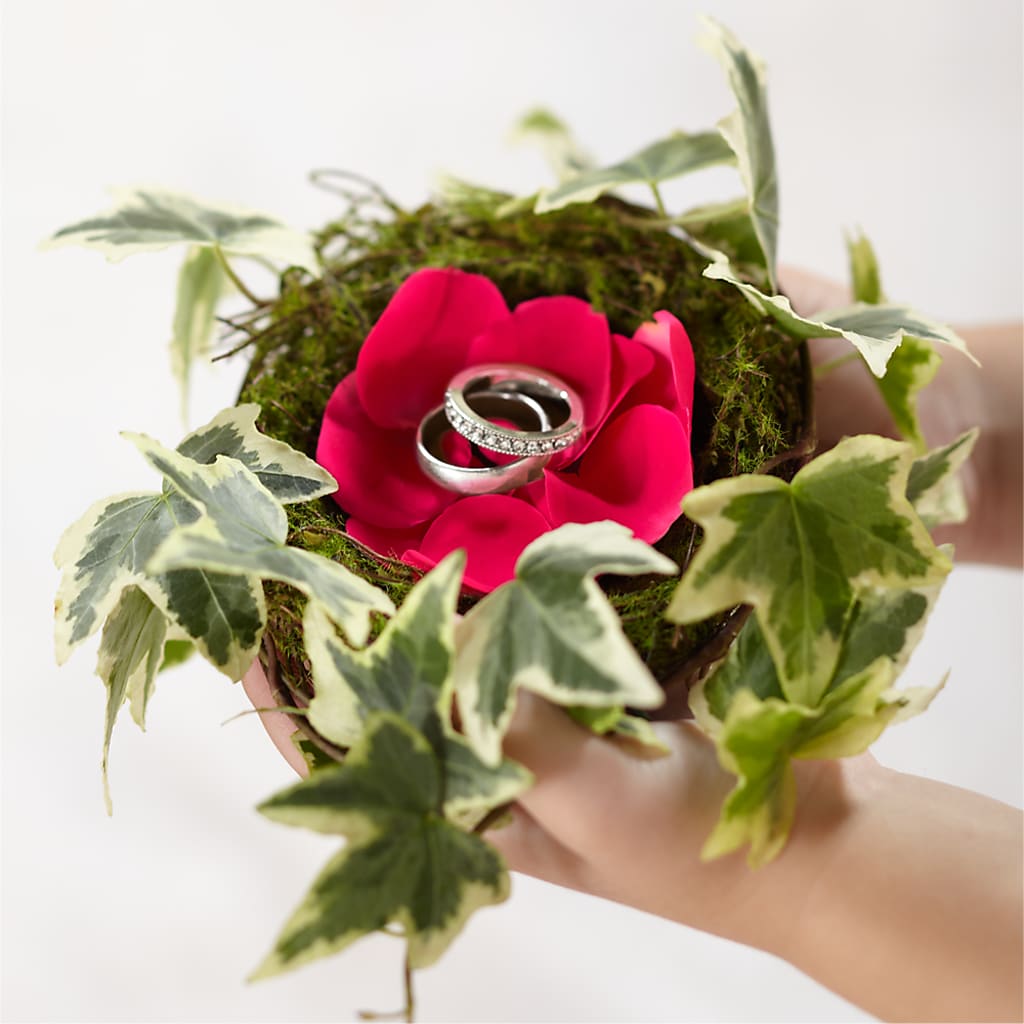 Lila Rose Ring Nest – MILAM FLORAL & GREENHOUSE, Havre MT
