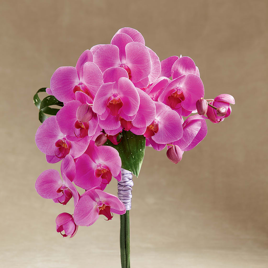 Glorious Bouquet – MILAM FLORAL & GREENHOUSE, Havre MT