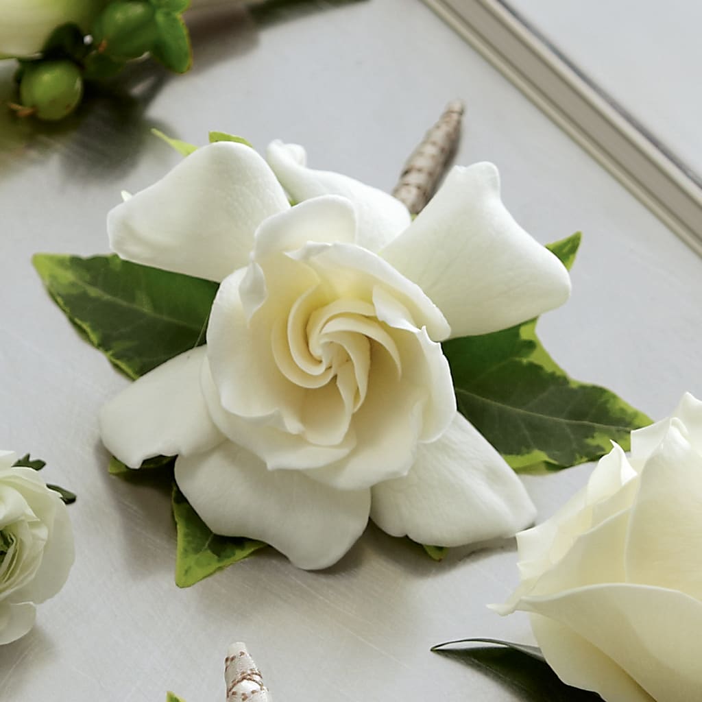 Gardenia Boutonniere – MILAM FLORAL & GREENHOUSE, Havre MT
