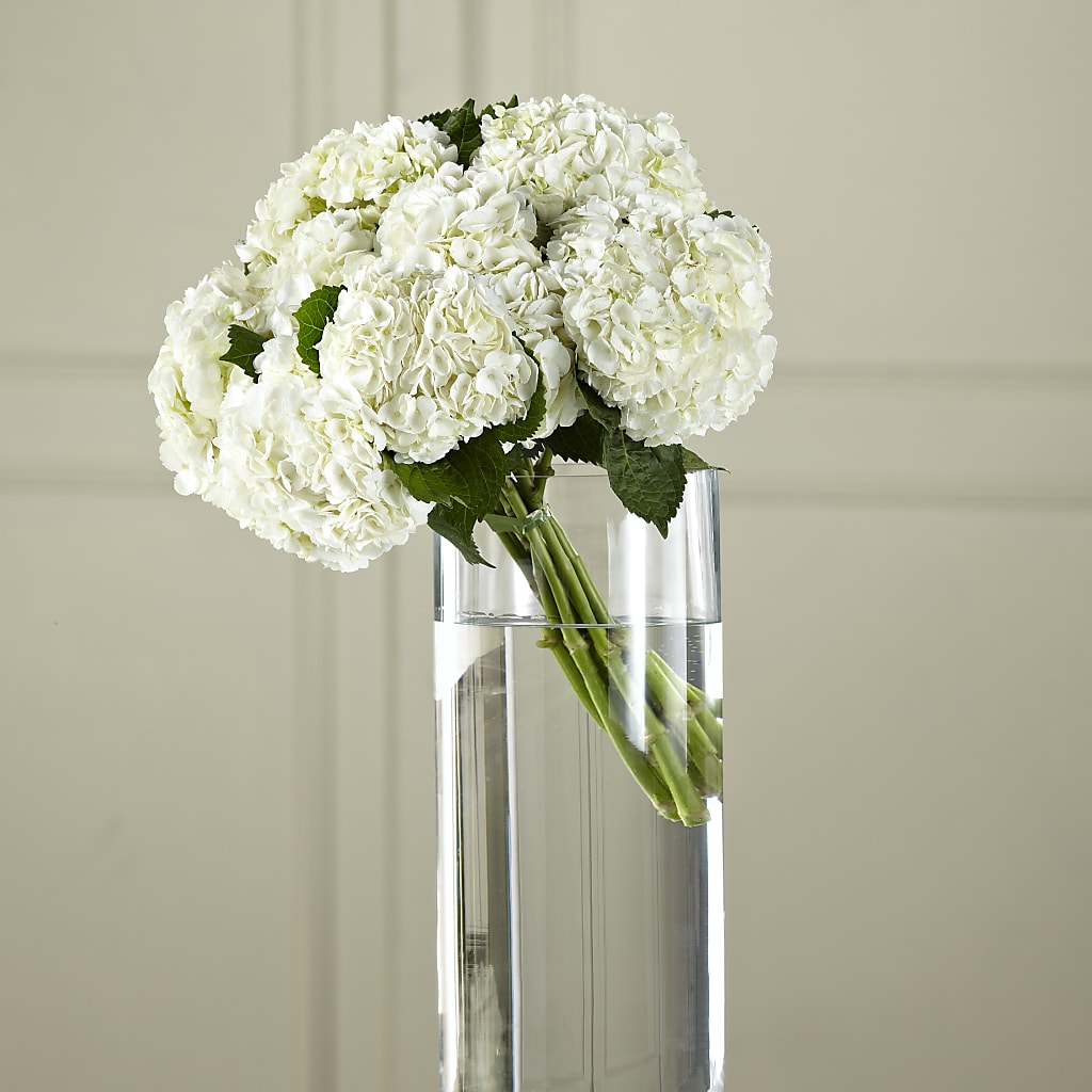 White Hydrangea Hand-Tied Bouquet – MILAM FLORAL & GREENHOUSE, Havre MT