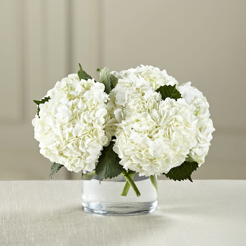 White Hydrangea Bouquet – MILAM FLORAL & GREENHOUSE, Havre MT