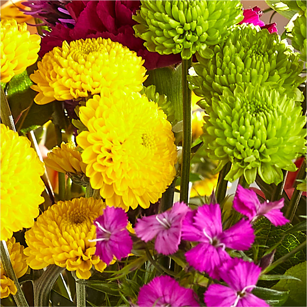 Bold & Bright – A Florist Original – MILAM FLORAL & GREENHOUSE, Havre MT