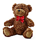 Adorable Plush Bear – MILAM FLORAL & GREENHOUSE, Havre MT