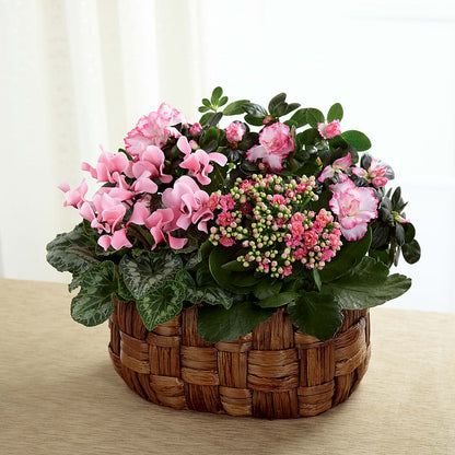 Pink Assortment – MILAM FLORAL & GREENHOUSE, Havre MT