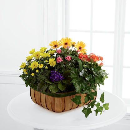 Gentle Blossoms Basket – MILAM FLORAL & GREENHOUSE, Havre MT