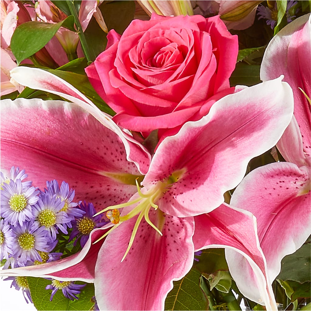Written in the Stars Bouquet – MILAM FLORAL & GREENHOUSE, Havre MT