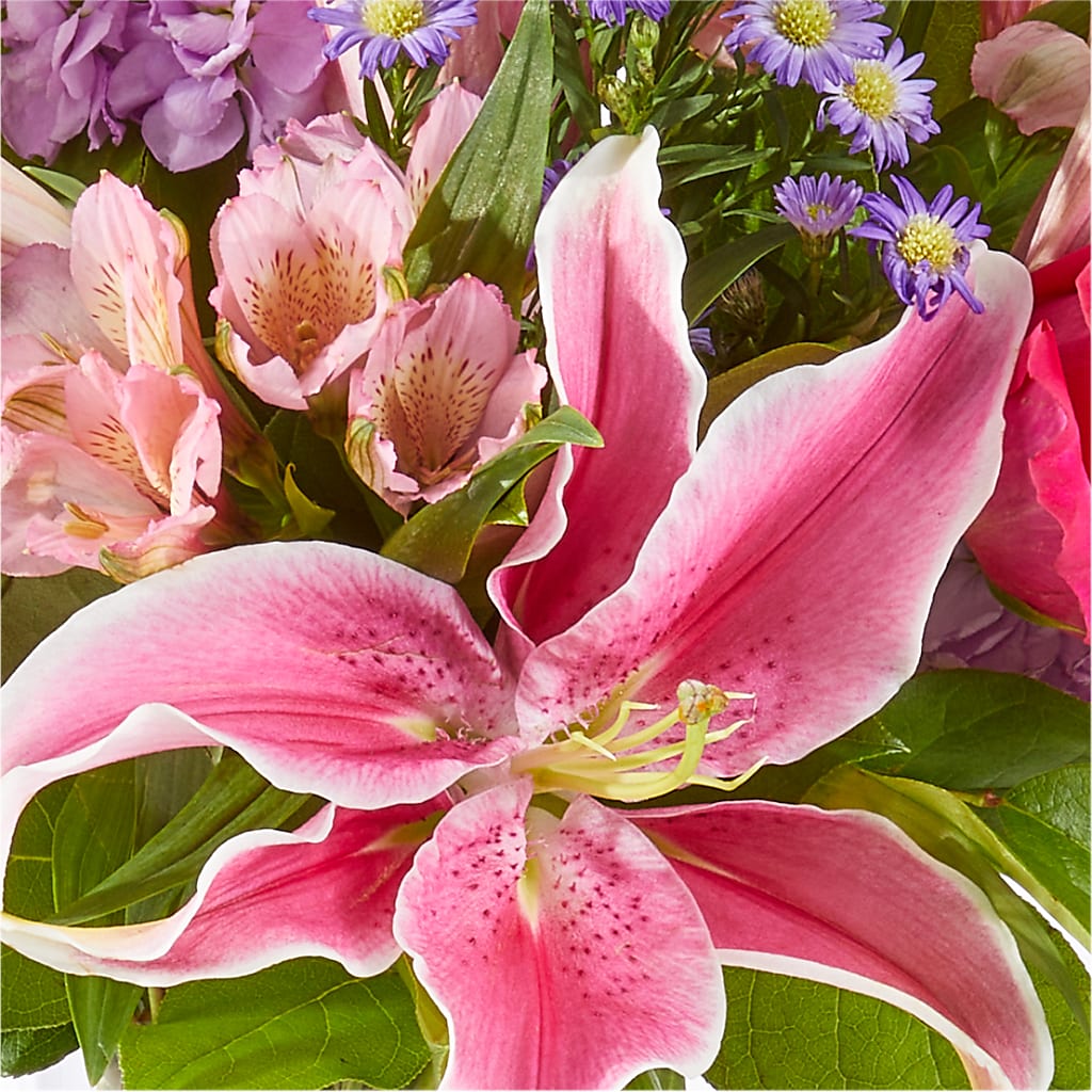 Written in the Stars Bouquet – MILAM FLORAL & GREENHOUSE, Havre MT
