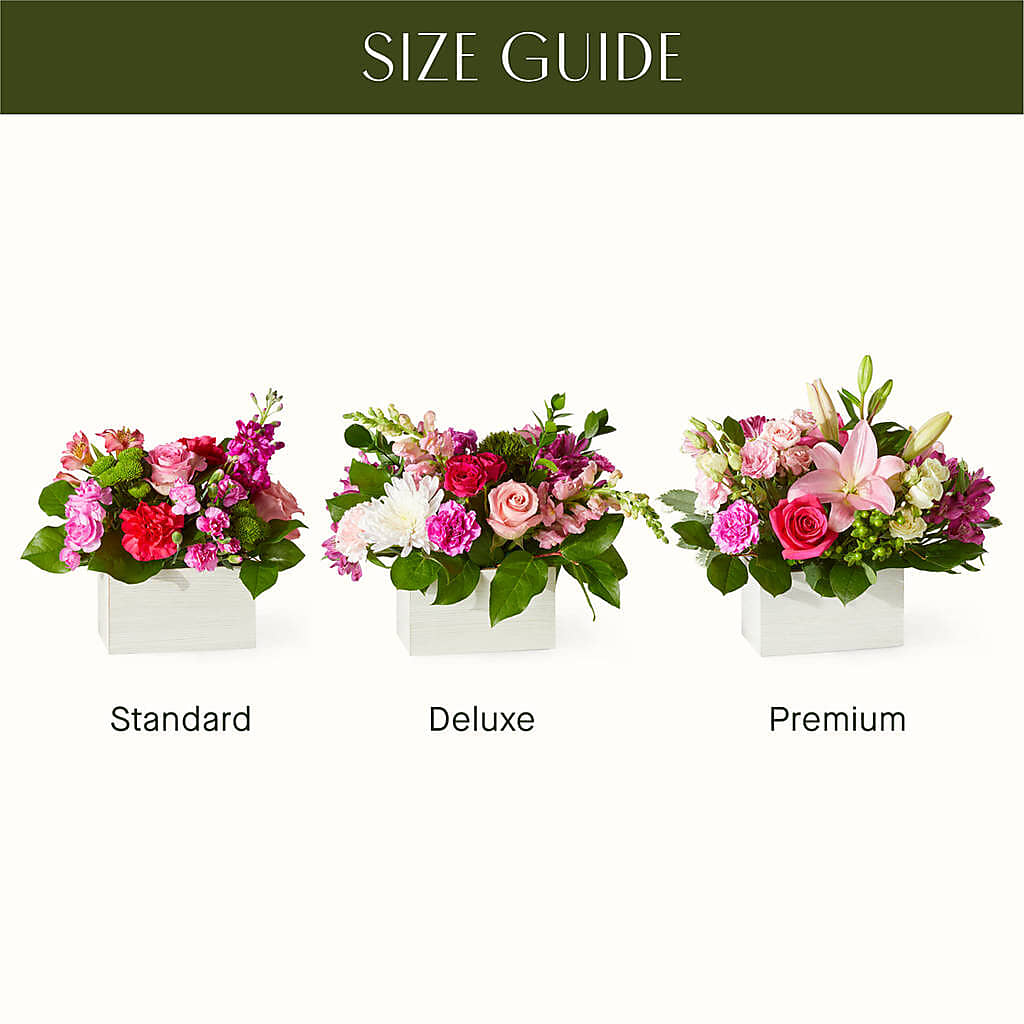 Sweetberry Box – A Florist Original – MILAM FLORAL & GREENHOUSE, Havre MT