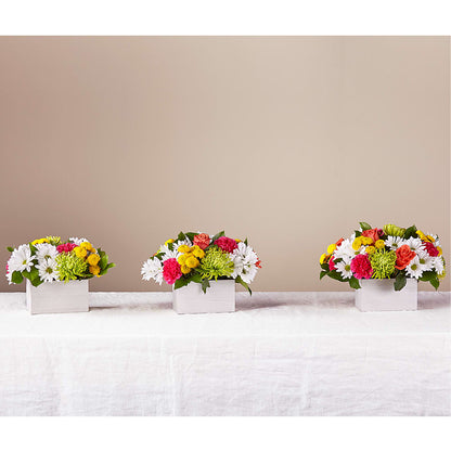 Sorbet Bouquet – MILAM FLORAL & GREENHOUSE, Havre MT