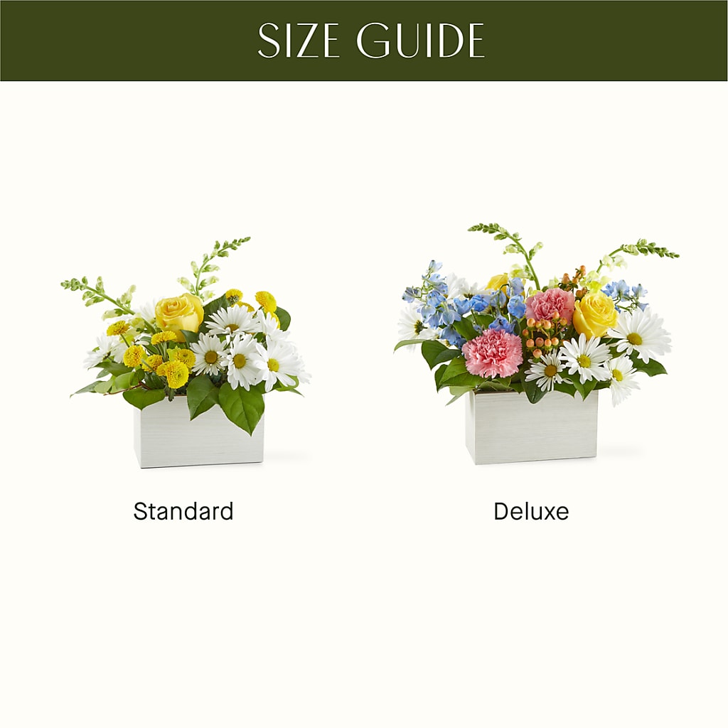 Sun Salutation Box Bouquet – MILAM FLORAL & GREENHOUSE, Havre MT