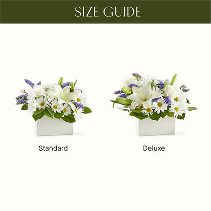 Beyond Blue Box Bouquet – MILAM FLORAL & GREENHOUSE, Havre MT
