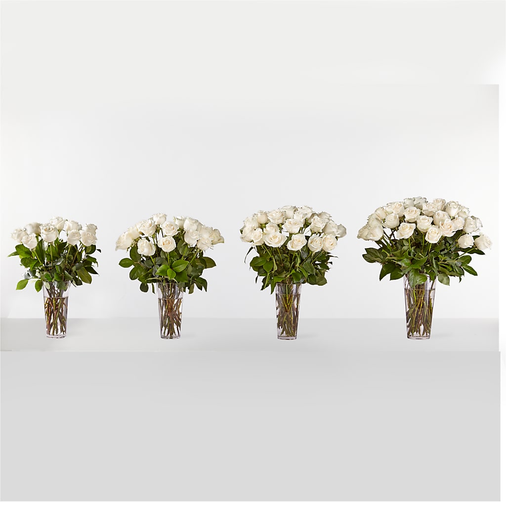 Long Stem White Rose Bouquet – MILAM FLORAL & GREENHOUSE, Havre MT