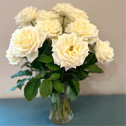 Long Stem Yellow Rose Bouquet – MILAM FLORAL & GREENHOUSE, Havre MT