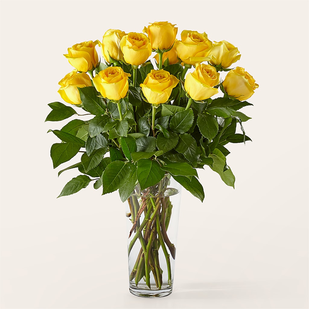 Long Stem Yellow Rose Bouquet – MILAM FLORAL & GREENHOUSE, Havre MT