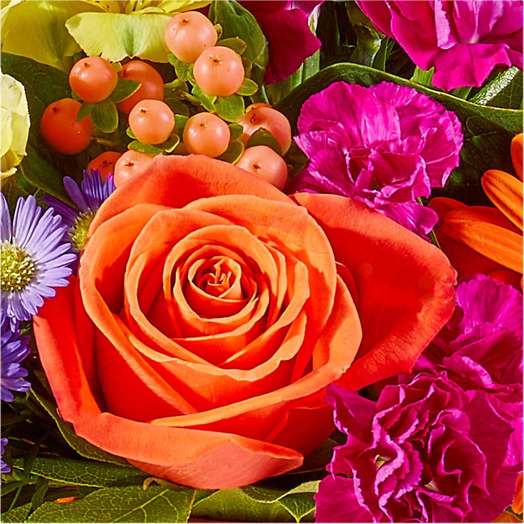 Tricks & Treats Pumpkin – MILAM FLORAL & GREENHOUSE, Havre MT
