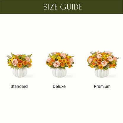 Peachy Pumpkin – MILAM FLORAL & GREENHOUSE, Havre MT