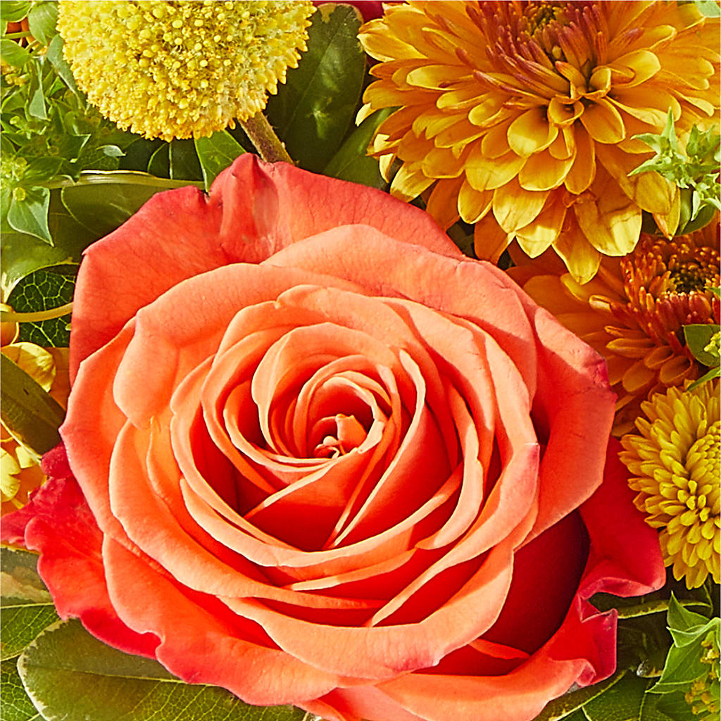 Gourdgeous Pumpkin – MILAM FLORAL & GREENHOUSE, Havre MT