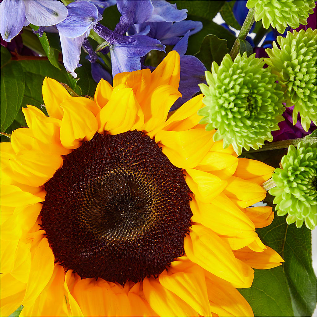 Catching Rays Bouquet – MILAM FLORAL & GREENHOUSE, Havre MT
