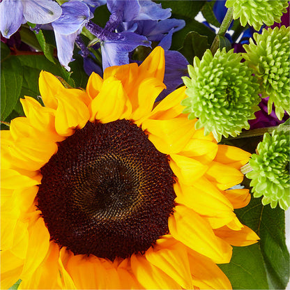 Catching Rays Bouquet – MILAM FLORAL & GREENHOUSE, Havre MT