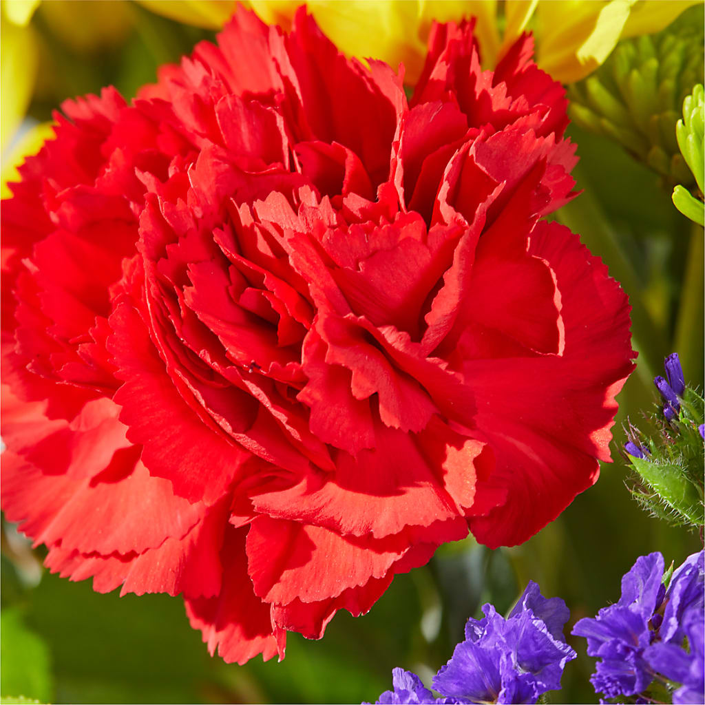 Brighter Days Bouquet – MILAM FLORAL & GREENHOUSE, Havre MT