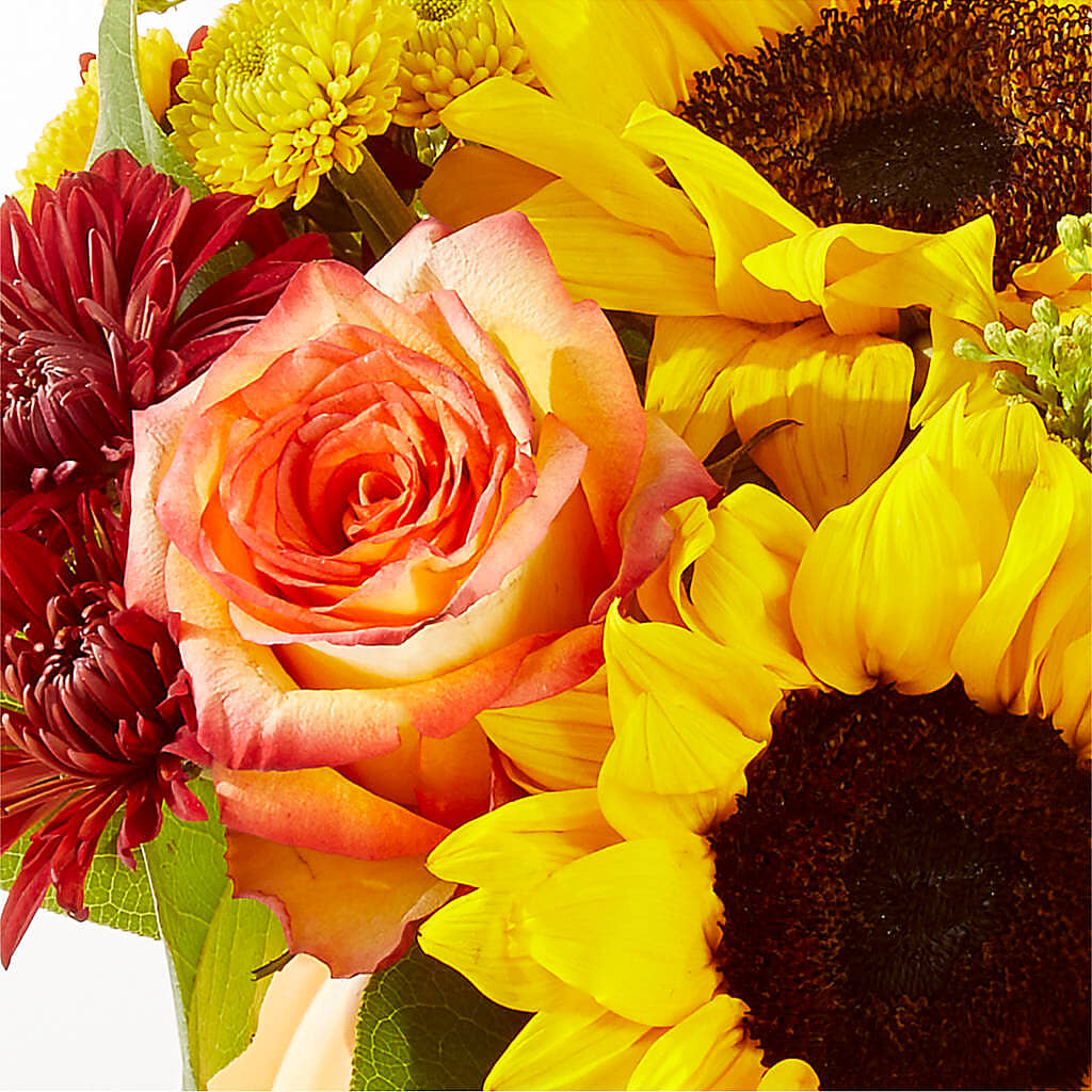 Golden Gourd Pumpkin Bouquet – MILAM FLORAL & GREENHOUSE, Havre MT