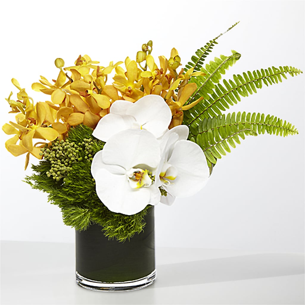 The Tropics – MILAM FLORAL & GREENHOUSE, Havre MT