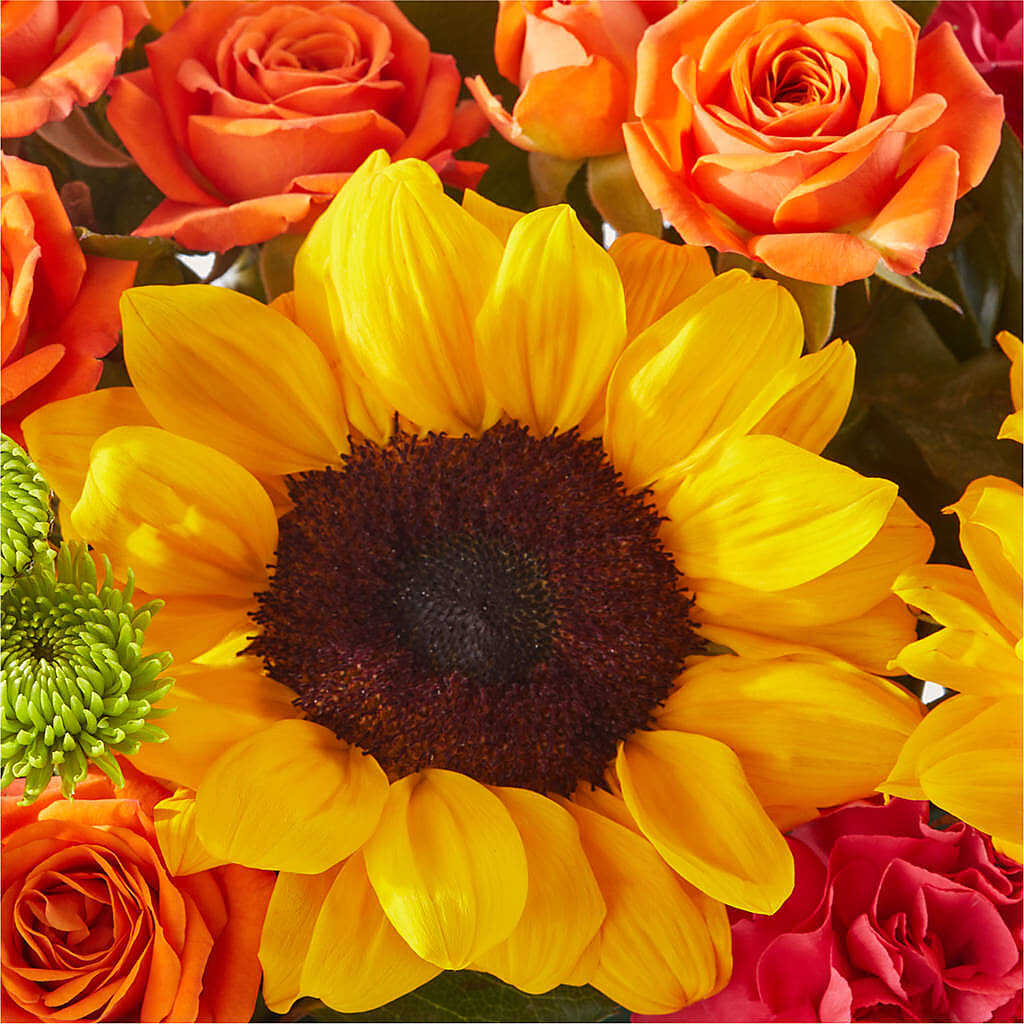 Sun-drenched Blooms Box Bouquet – MILAM FLORAL & GREENHOUSE, Havre MT