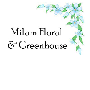 Milam Floral &amp; Greenhouse