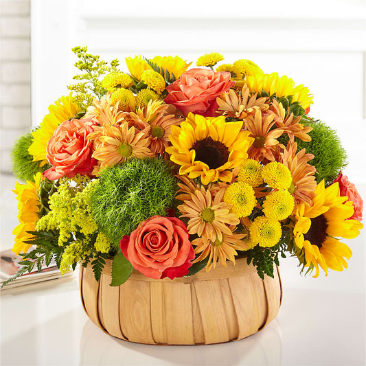 Harvest Sunflower Basket – MILAM FLORAL & GREENHOUSE, Havre MT