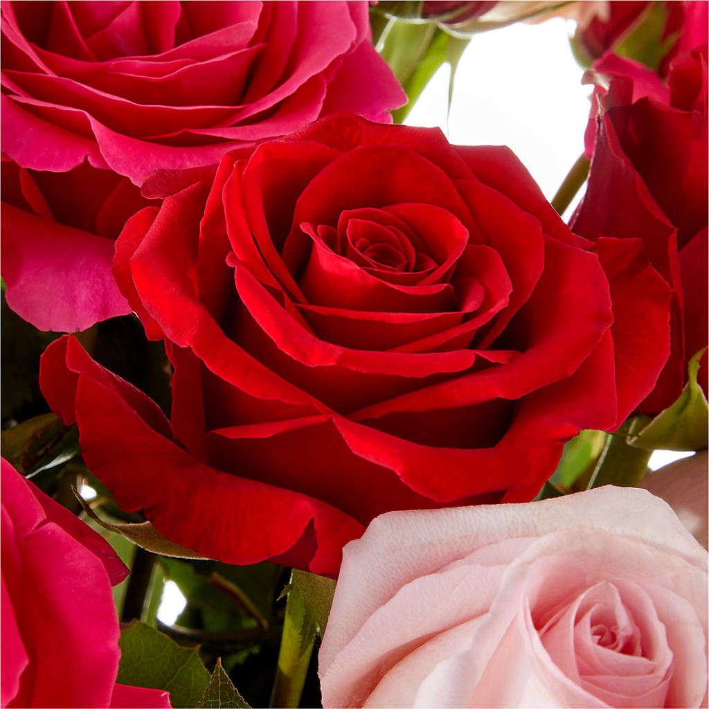 Love Notes Rose Bouquet – MILAM FLORAL & GREENHOUSE, Havre MT