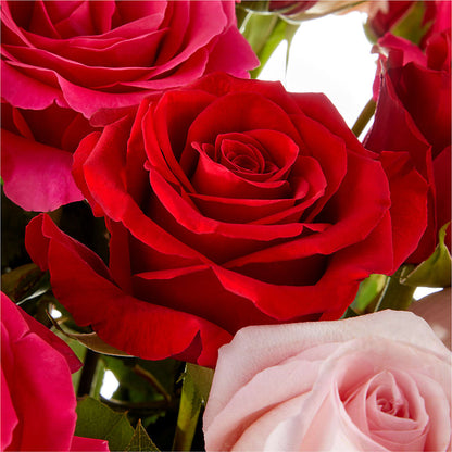 Love Notes Rose Bouquet – MILAM FLORAL & GREENHOUSE, Havre MT
