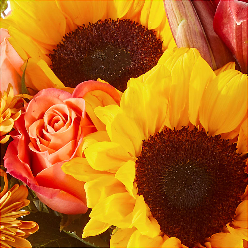 Acorn Lane Bouquet – MILAM FLORAL & GREENHOUSE, Havre MT