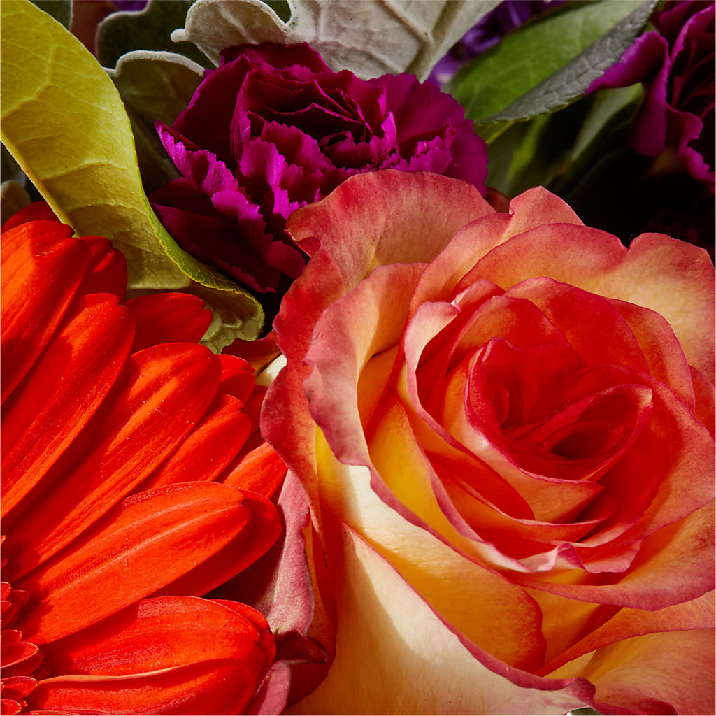 Sangria Bouquet – MILAM FLORAL & GREENHOUSE, Havre MT