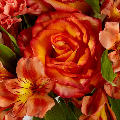 Apricot Glow Bouquet – MILAM FLORAL & GREENHOUSE, Havre MT
