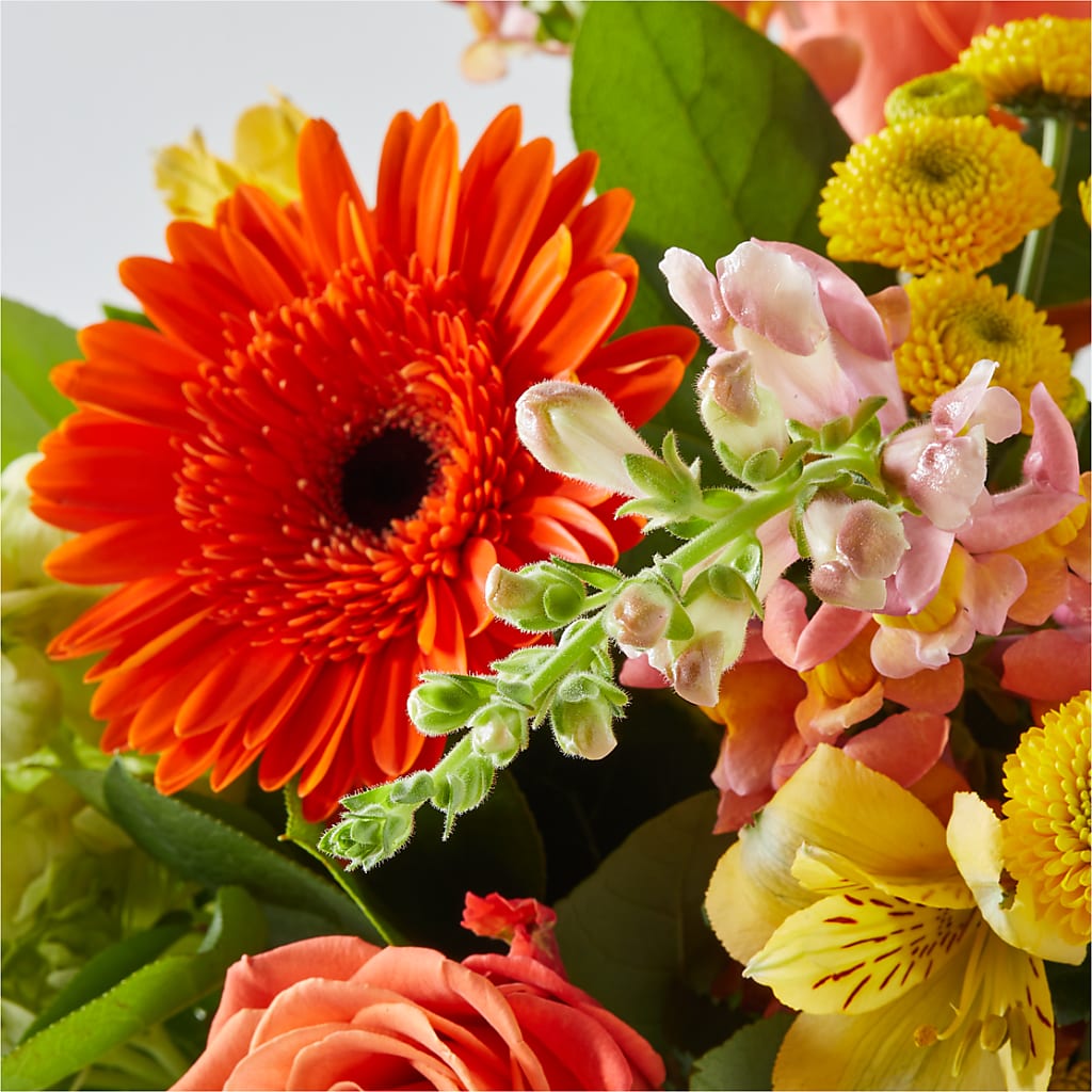 Autumn Sunshine Bouquet – MILAM FLORAL & GREENHOUSE, Havre MT