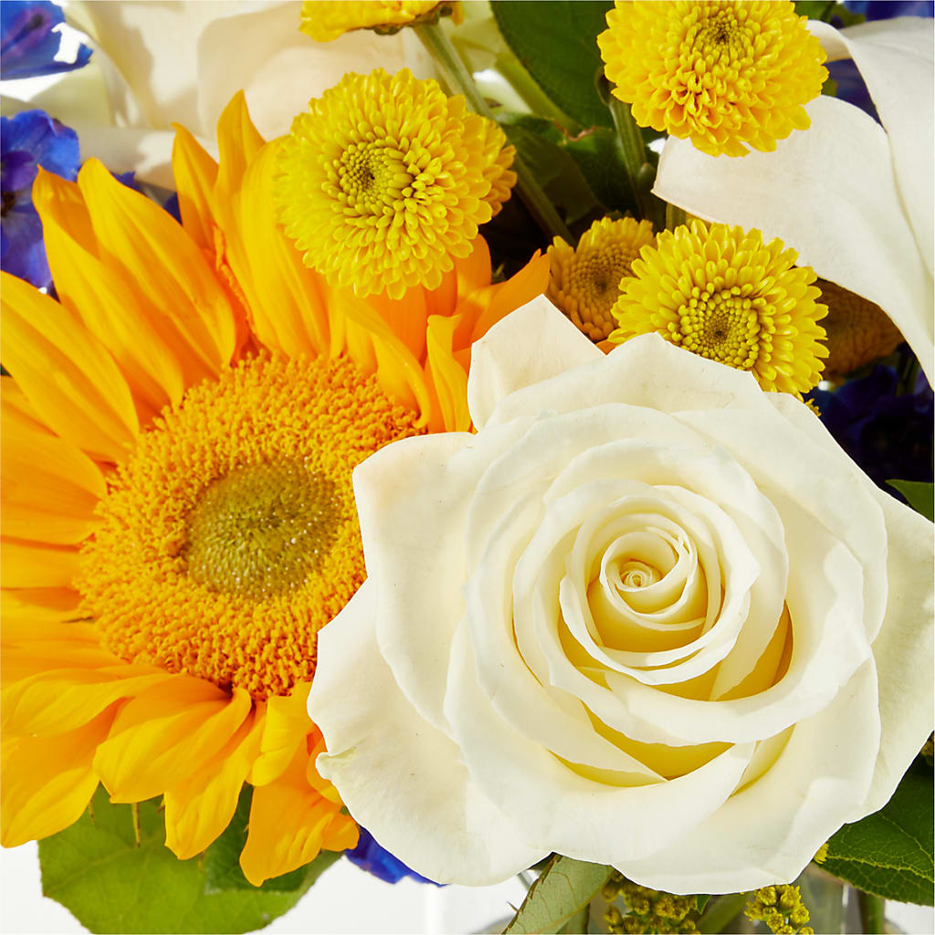 Stargazing Bouquet – MILAM FLORAL & GREENHOUSE, Havre MT