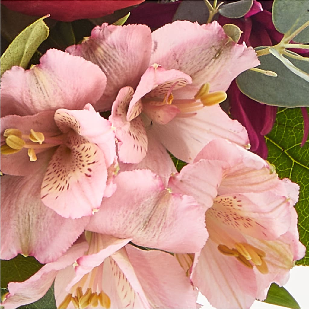 Berry Cobbler Bouquet – MILAM FLORAL & GREENHOUSE, Havre MT
