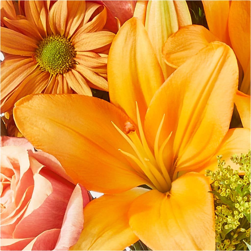 Harvest Hayride Bouquet – MILAM FLORAL & GREENHOUSE, Havre MT