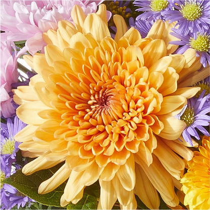 Countryside Bouquet – MILAM FLORAL & GREENHOUSE, Havre MT